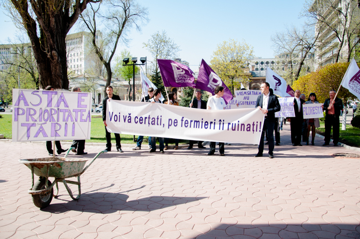 FOTO: Protestul Organizației de Fermieri a PPRM în fața Ministerului Agriculturii și Industriei Alimentare